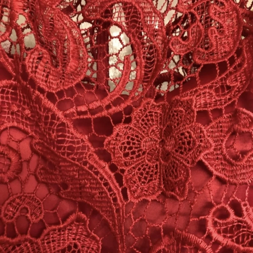 Adrianna Papell Rose Red Lace Illusion Party Dress XS - Picture 4 of 13